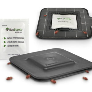 Feromonowa pułapka na pluskwy